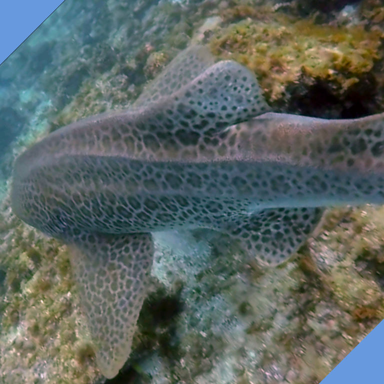 50df2b09-2869-4002-a78e-69ba8df70eb7