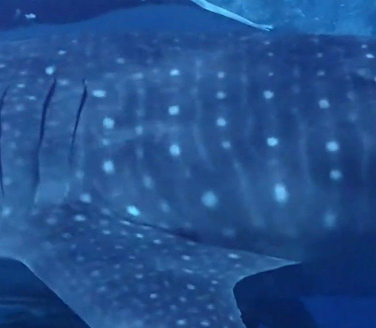 21acdd64-3fee-4af8-93a7-34e9cf5e2bf2