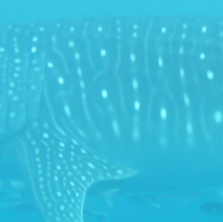 6a08ffdd-d660-4c12-84ea-19e8045a8be8