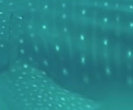 310cf378-1cbb-4f21-a7f7-65d234bb0b23