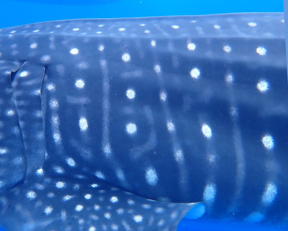 4574a8b7-03e0-4b1e-9d6a-375c56186acf