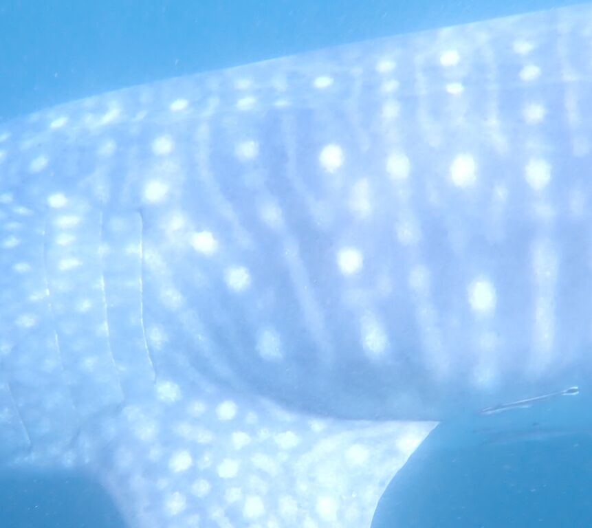 0929df14-d3cc-4a58-82a6-d3586d9da2b9