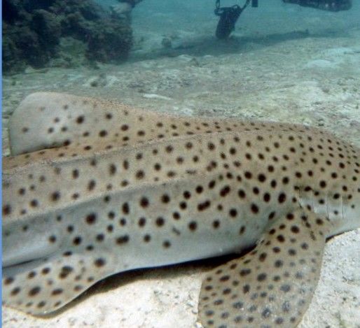 1a20d605-45b7-45d4-8944-aa10e3ca2645