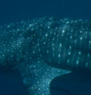 5f475aaa-c687-494b-8a22-b78f4680ea59