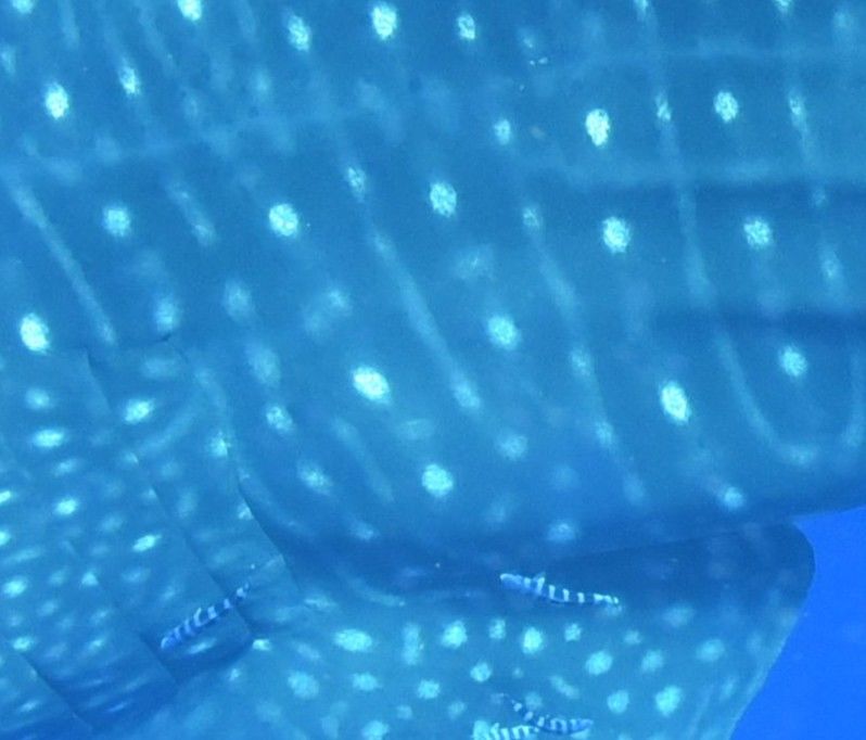 7ff48b42-7036-46c6-bd84-fec8d143f8ac