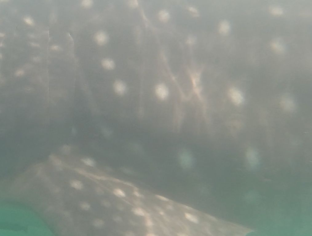 62f4452e-98b5-466f-aa5a-9e2151e51f0c