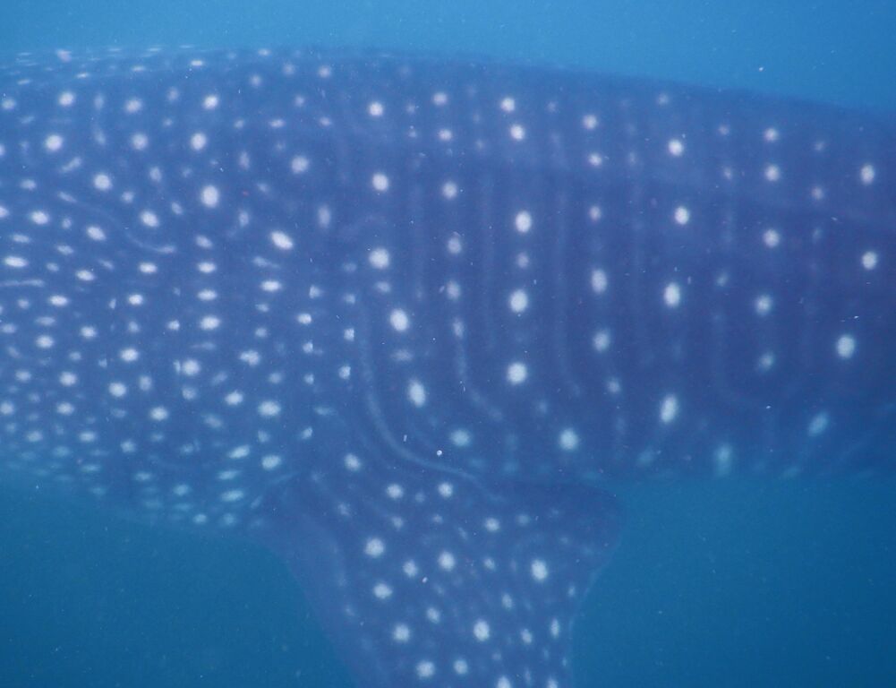 f1cb8c5c-4be9-4d4a-a54b-4f73892de62f