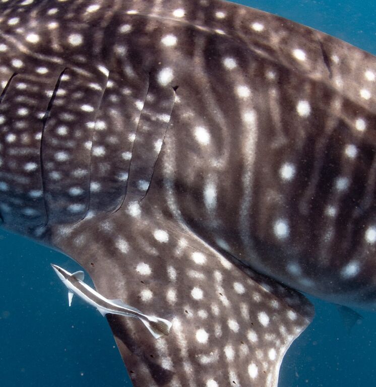 7d0f33ec-04c6-46c7-8e30-9dd23224675e