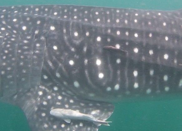 97d2b7b3-9a24-4ee6-9d65-adfd0004daa4