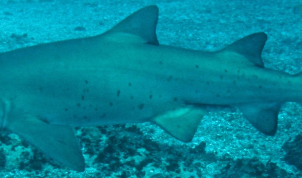 e6cdae39-38bd-4df7-adfb-cd1d679336cd