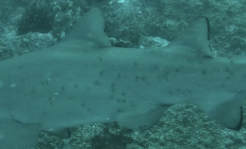 fd515a1a-f6cd-4c3c-b83a-6fd9376feac6