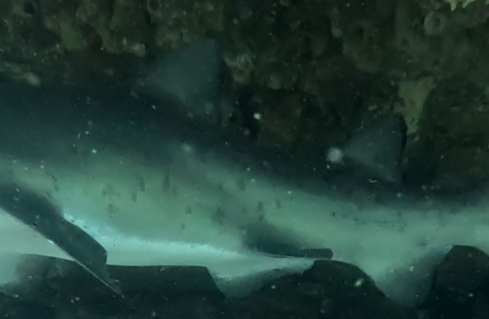 ecb69896-9627-4745-bfd2-1d2ff1f86220