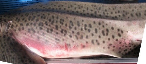 1242854c-44e4-4c66-ba2a-ffb54dbc901f