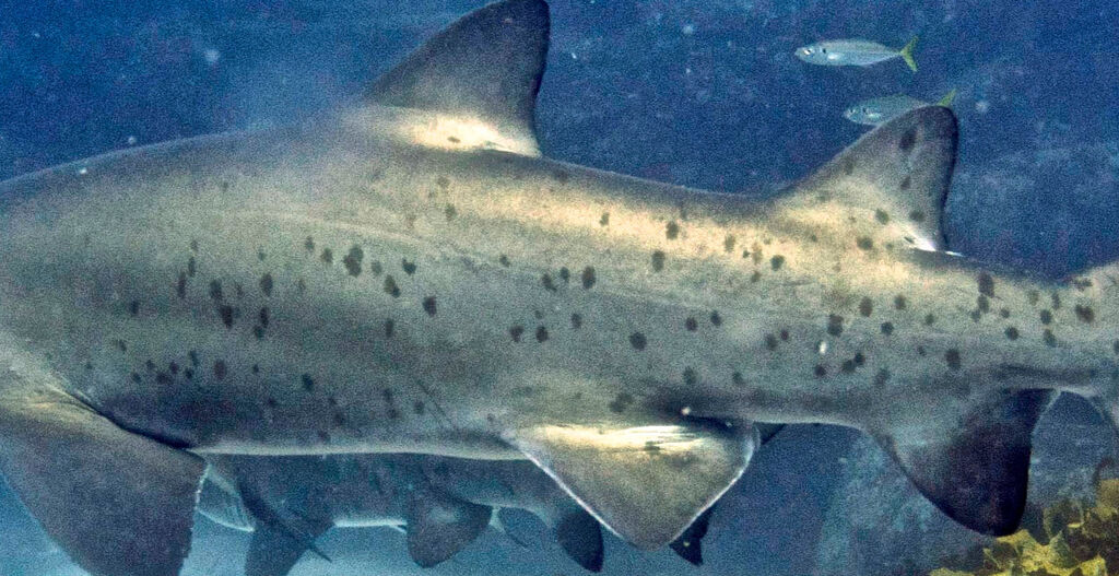 1ddf062f-a506-485f-b076-267e6129c022