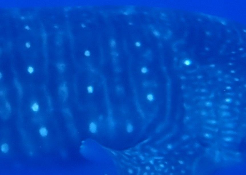 074a76bb-e038-40e8-9c9c-5db8472e766a