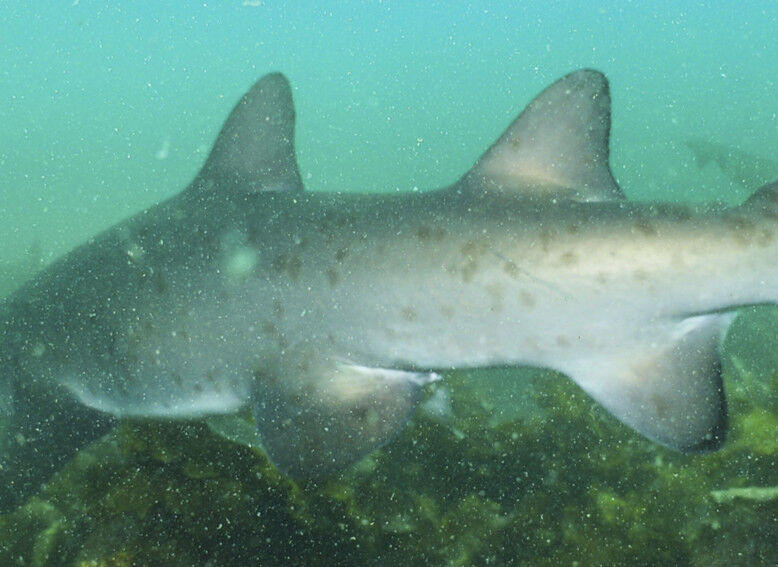 535f4338-db7f-4c83-a160-c42109bbf87f