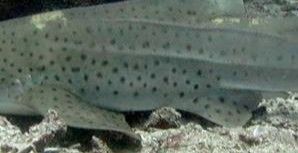 2acba137-f1bf-4cd4-928b-8a60d6c1be83