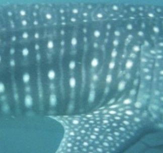 e7e64d88-44a7-4d6d-86a6-8f8f1f29b74b