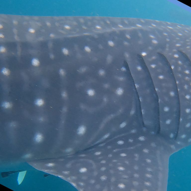 137733ec-f4b2-41c8-aca0-eb99534ec1c3