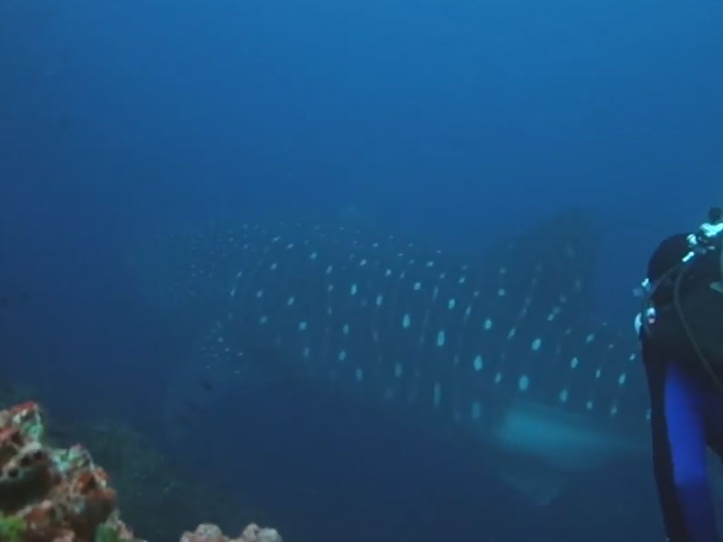 481aa495-66e1-4c82-a4d4-e643a8d6b134