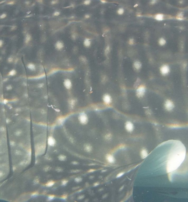 bc643ba1-4478-44fb-82f9-3cb00e47fd62