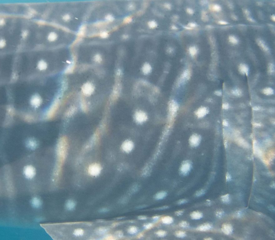 bc643ba1-4478-44fb-82f9-3cb00e47fd62