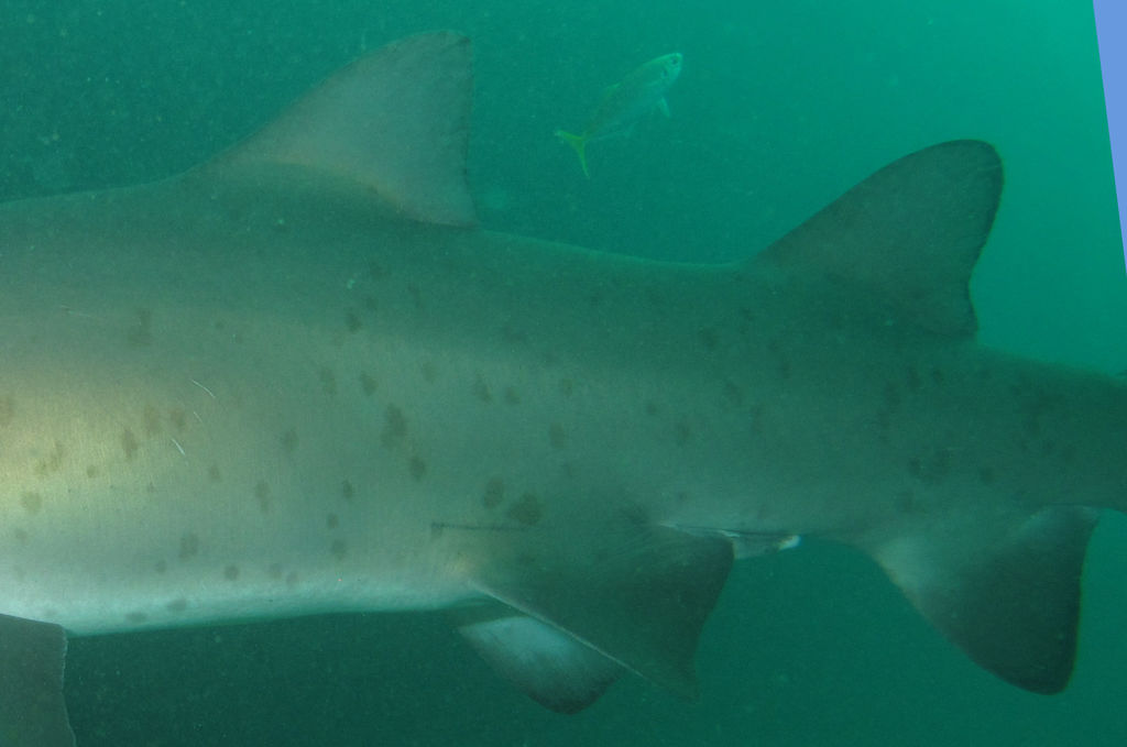 cfbcc5e4-c24a-4521-afb5-b13dc0074cd3