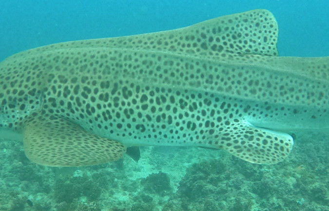 3844dabb-bcab-4cea-a690-0ea748d52171