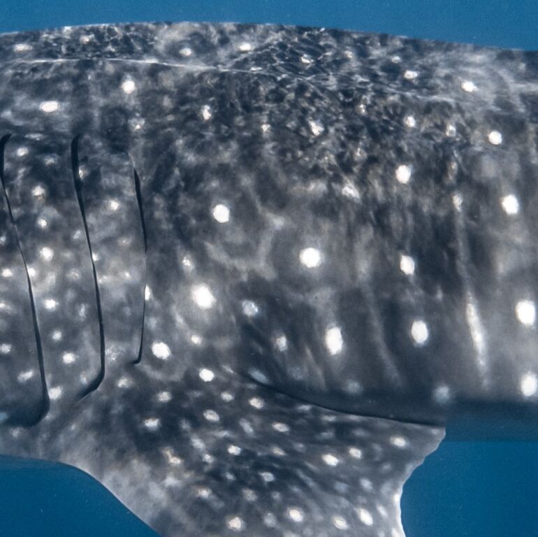 356e76b9-2dd7-4e7e-a17f-7016be55f424