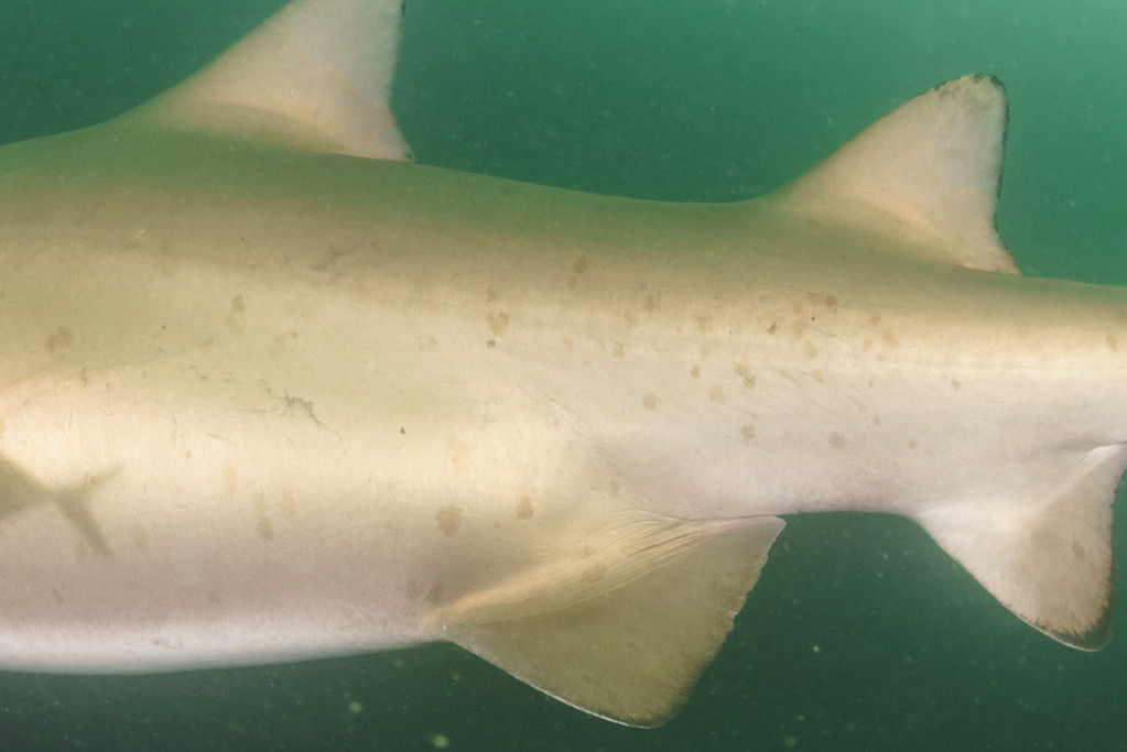 c6072938-0036-4717-aba1-2668eec3ea2d