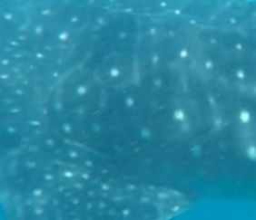 85bbd823-51d4-4955-bbdd-999a8fda5249