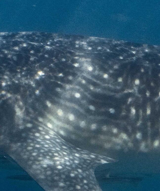 0abdf833-9da7-4336-99ff-0b8fd3e21926