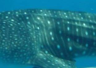 767e9535-5eeb-48cd-af37-d1a436e1410a