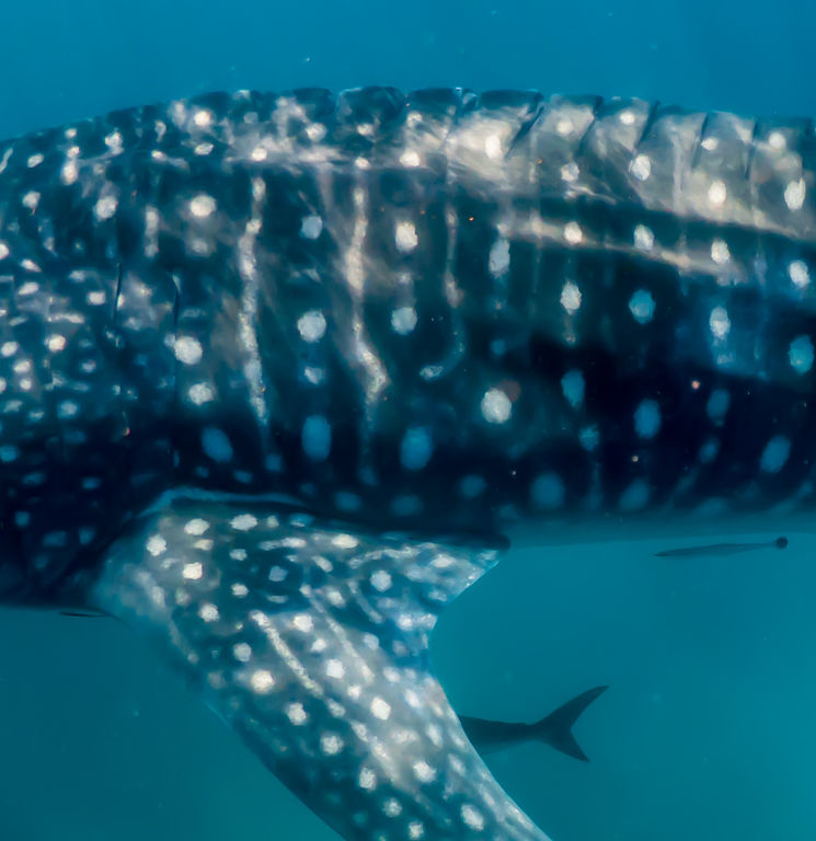 5b80691a-f7cd-4f9b-96ae-1c6b10b7f63f