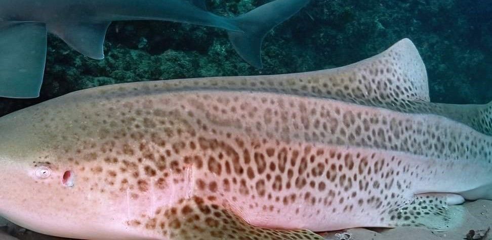 6147d429-e7d1-4adf-abc9-61f82acf6f60