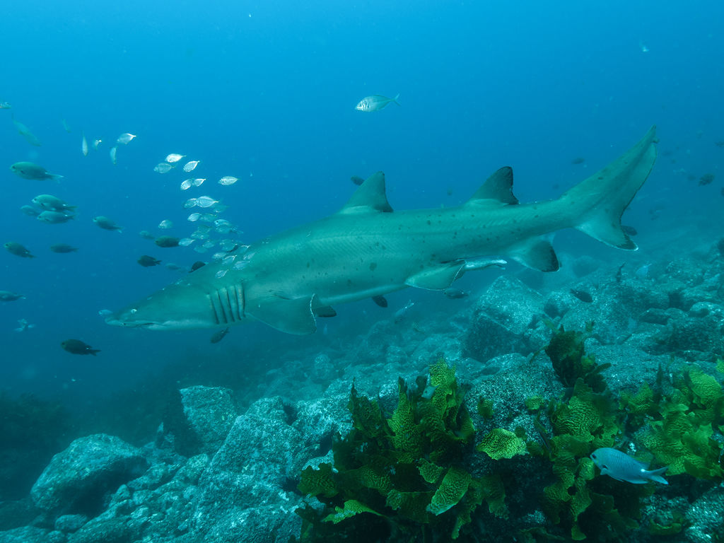 d8b7e2d1-3e5b-4905-8e48-0cbbb9e02a9e