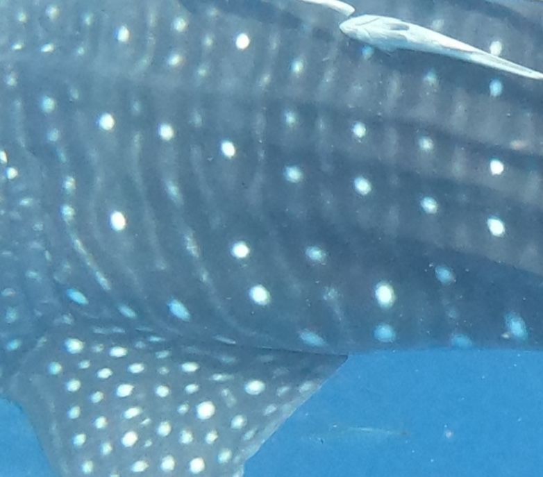 f0a6bd88-4fa0-4108-a82f-d614e58c17b6