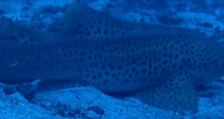 48487be7-9a65-4151-9571-75f1debc1042