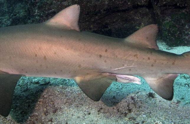 44c422bf-c6da-438c-8489-14e06bec1574