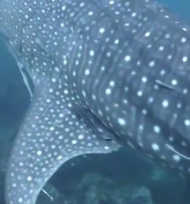 b5b69c55-e222-4cad-b73e-bdeb403e3e35