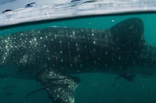 1c7fc1bd-6b57-4391-b9f2-d2daa3e87ae4