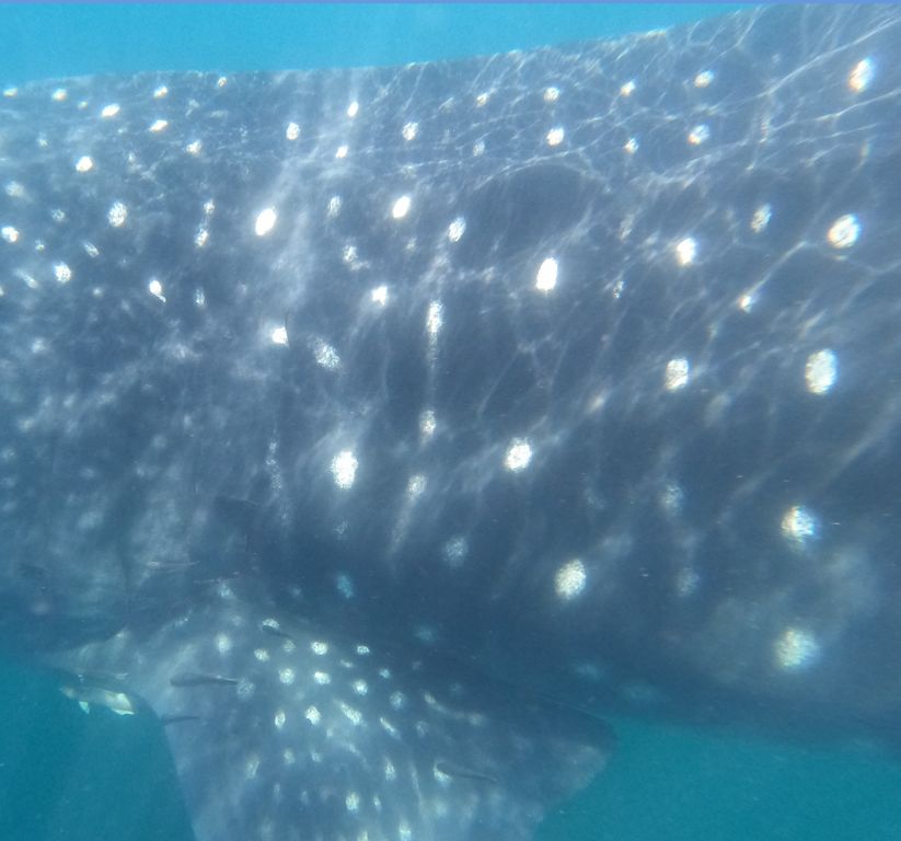 02cc6274-7c4c-40ce-9bde-8a9072715ac1