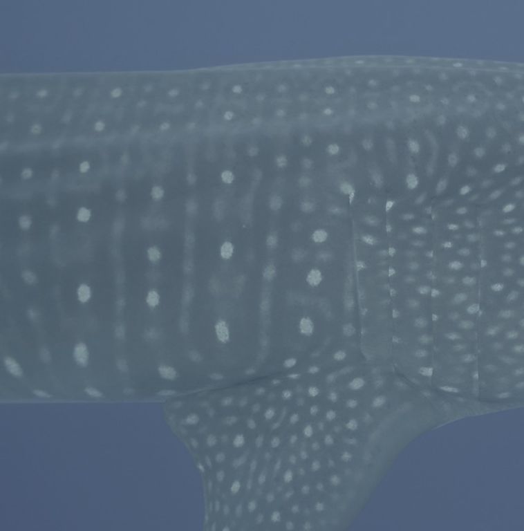 cbb0a567-751e-45df-b00a-15f589d1ddd9