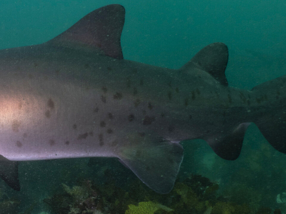 dfa11ef4-f474-47e1-aea0-f9e89e58059c