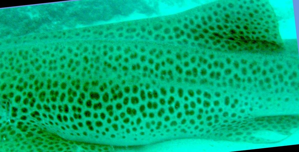 1fa7e2df-b3c3-47bd-93f5-76b9a48b7d89