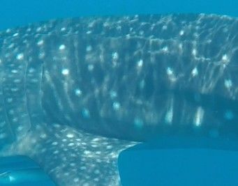 c7d55add-ecd9-46e8-bfec-577e7b060e08