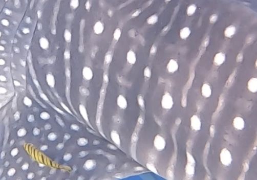 717c6682-8e59-421c-bf99-2bb8a0f1dd98