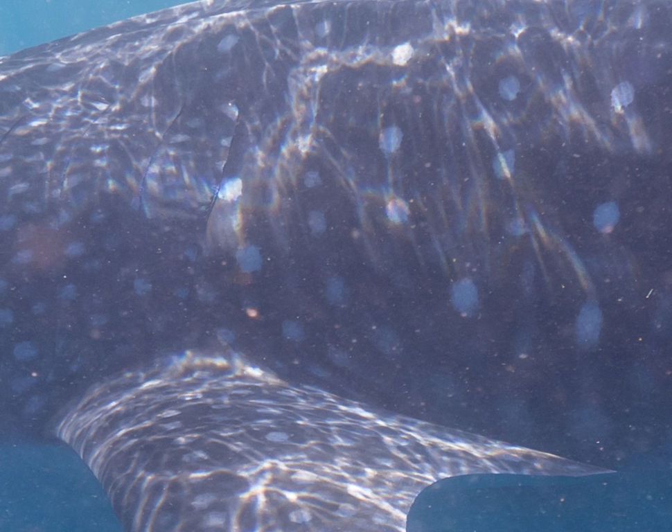 b09475f8-932a-4b72-b021-a0d5a3ce365d