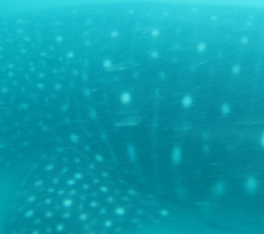 6383302e-812e-4dcd-9040-b3179120dc30