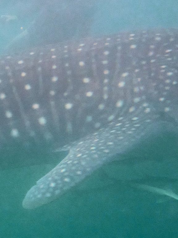 2b13b49c-fab5-4ba1-90a0-e90f3b0d7ae4